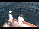 Blue Fin Tuna
