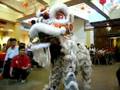 Kwong Ngai Lion Dance 6th Anniversary