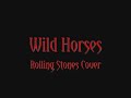 Splitz & Friends - Wild Horses