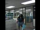 Eternal Sock Monkey Revenge (Cubicle Prank)