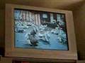  - MovieZen Video