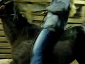 MOV01557.MPG
