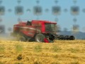 tratamientos agrícolas hnos  sendra  el carpio   cordoba 