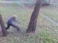 videos de wallspin na drzewie