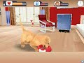 Dogz Trailer Dogz Trailer