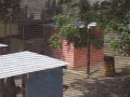 Dr.ZeH dr.zeh Fantasma do Paintball