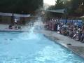 Moraga Ranch Dad's Syncronized Swimming