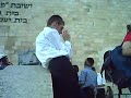 breslev no kotel