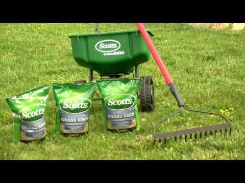 how to replant grass in bare spots