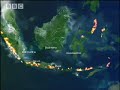 BBC Wild Nature