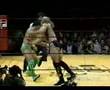 Best Of Bas Rutten