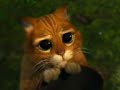 SHREK CUTE CAT