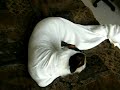 Quadriplegic Puppy Eats Jesus on Toast and Moves Legs Quadriplegic Puppy Eats Jesus on Toast and Moves Legs