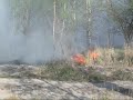 Dwa wielkie pożary w jeden dzień - Gdańsk cz1 zwierzaqgdansk