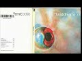 Lucid Dreams Track 9 SHBG