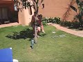 Pool Jumping in Spain
