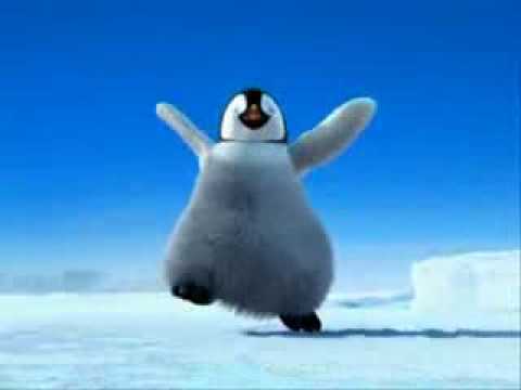 videos musicales animales 1.flv