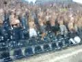 ELANA TORUN-derby
