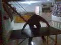batalla epica