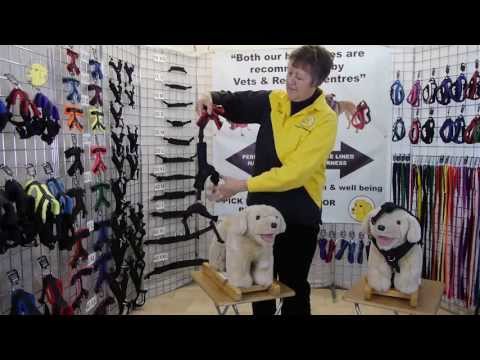 how to adjust ezydog quick fit harness