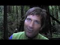 Muir Woods, Tree Huggers paridise. part 1 Muir Woods, Tree Huggers paridise. part 1