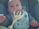 Yummy Giraffe
