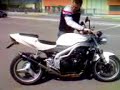Scarico MASS su Speed Triple 955i