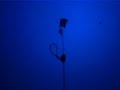 Carlos Coste breaks _141 varible weight freedive record 2006
