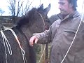 harnachement longues r�nes