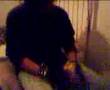 zoofilia