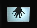 Ninja Shadow Training