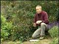 Virginia Farm Bureau - In the Garden - Saving your Seeds