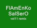 flamenko salsero