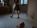 bulldog inglés5:nora aprende con nelo