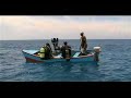 Reef Check Dominican Republic on National Geographic