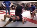 videos de Wouter3.mp4