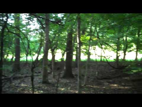 298 acres Carrollton, MS