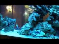 Okeanos Aquascaping Okeanos Aquascaping