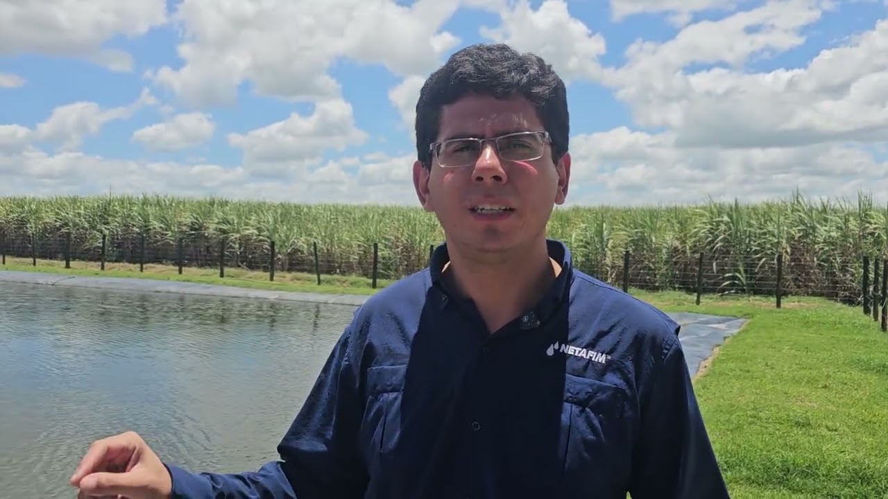 Industrial Porto Rico amplia irrigação por gotejo e alcança alta produtividade em Alagoas
