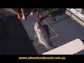 Adventure Bound Offshore Fishing Kalbarri WA Part 2