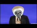 Lolcat: An Animated History (Part 3 / 3 )
