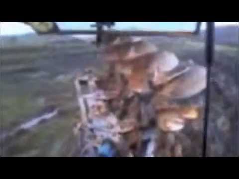 See video