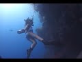 Intro Diving: The Monkey way