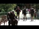 Robin Hood\