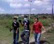 videos de mamoto