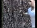 The Chase