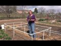 HOW TO GROW STRAWBERRIES (VIDEO)