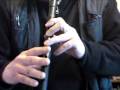 The Sally Gardens - Air (Maids of Mourne Shore)&Reel: Low Whistle teaching demo.