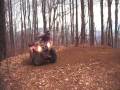 videos de Kodiak 450 slinging dirt