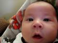 videos de Elin sings